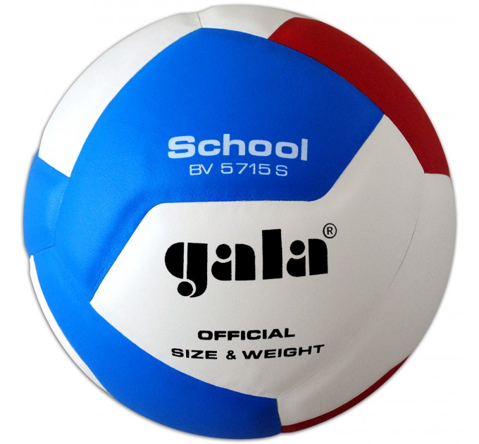 М'яч волейбольний Gala School BV5715SB