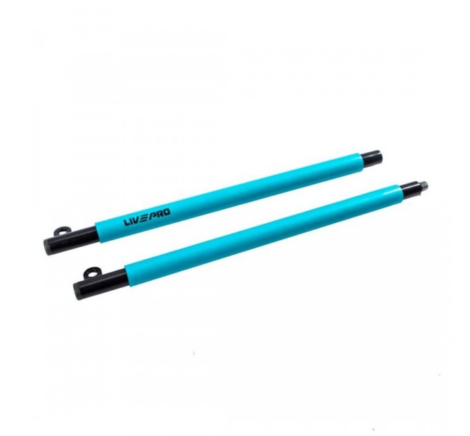 Тренажер для функціонального тренінгу LivePro RESISTANCE BAR SET