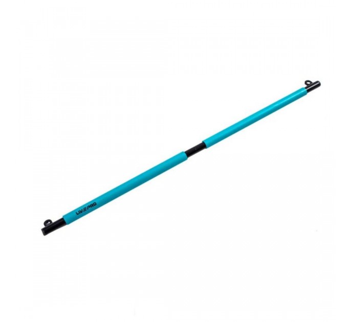 Тренажер для функціонального тренінгу LivePro RESISTANCE BAR SET