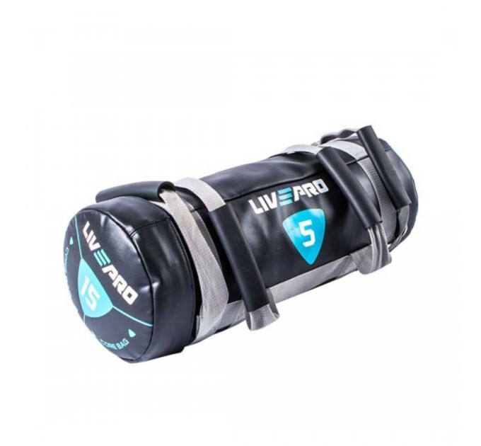 Мішок для кросфіту LivePro POWER BAG