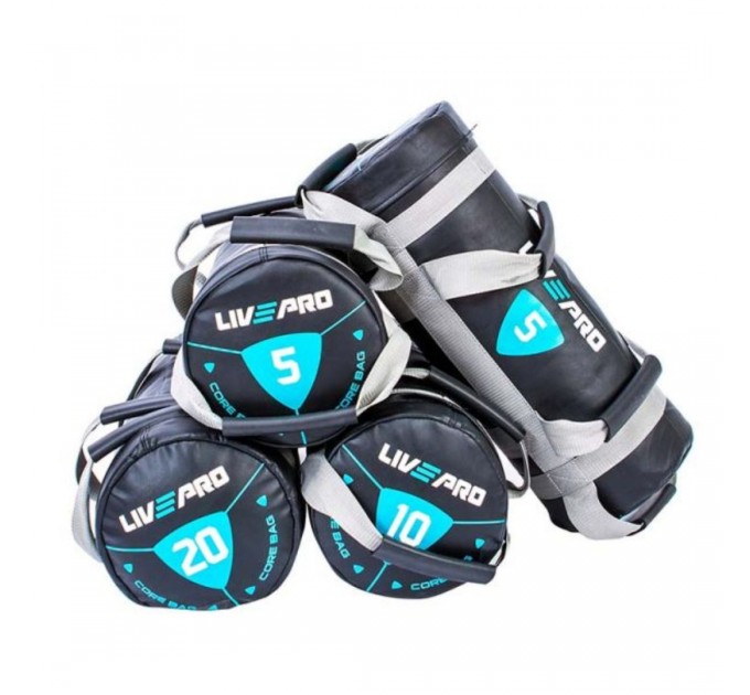Мішок для кросфіту LivePro POWER BAG