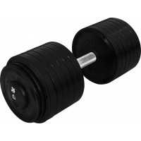 Гантель професійна InterAtletika ST552.36 36 кг