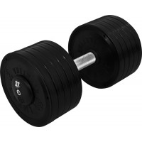 Гантель професійна InterAtletika ST552.27 27 кг