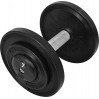 Гантель професійна InterAtletika ST552.7 7 кг