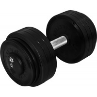 Гантель професійна InterAtletika ST552.21 21 кг