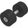 Гантель професійна преміум InterAtletika ST555.30-P 30 кг