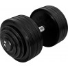 Гантель професійна InterAtletika ST552.50 50 кг